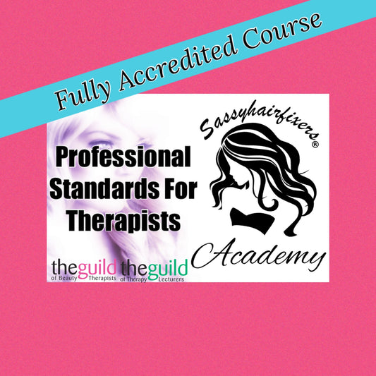 Professional Standards for Therapists Online Course